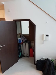 The Rochester Residences (D5), Apartment #161563072